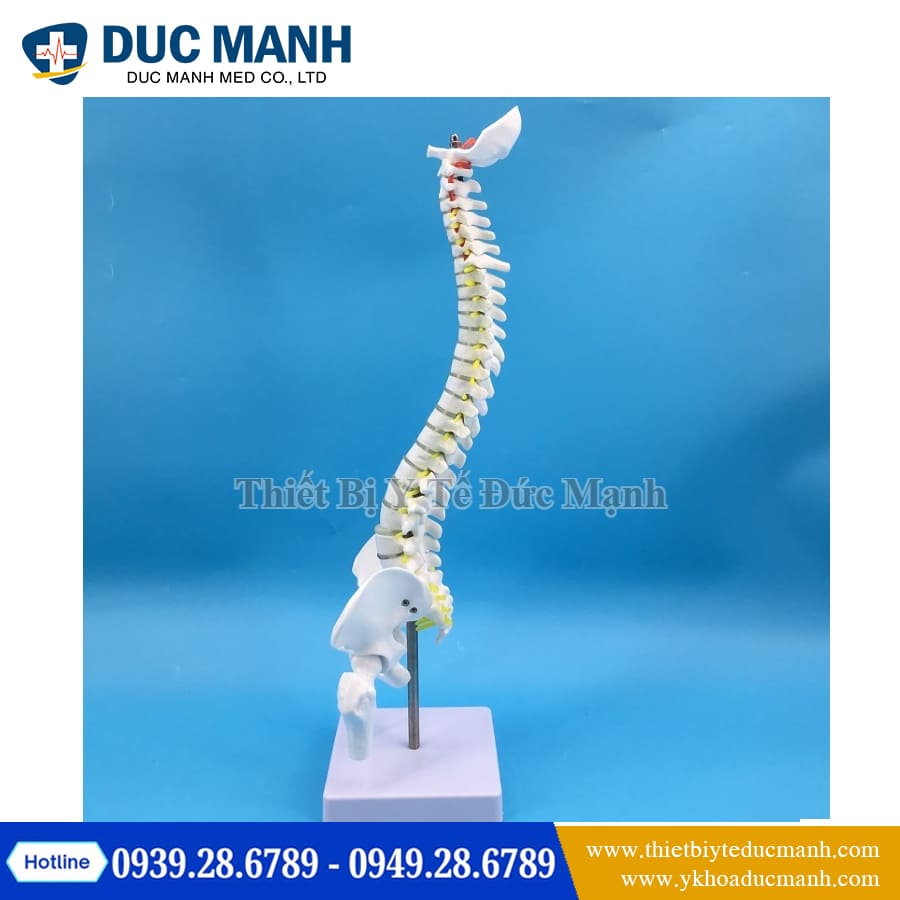 Mo hinh xuong cot song 45cm1