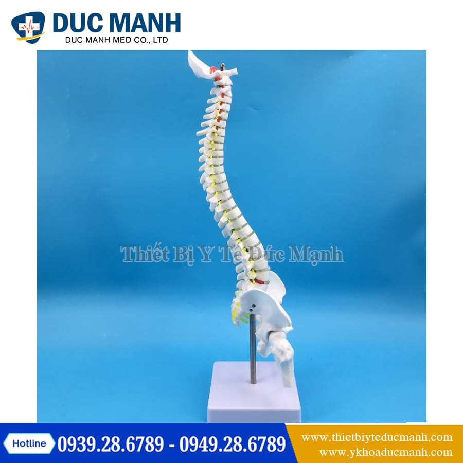 Mo hinh xuong cot song 45cm2