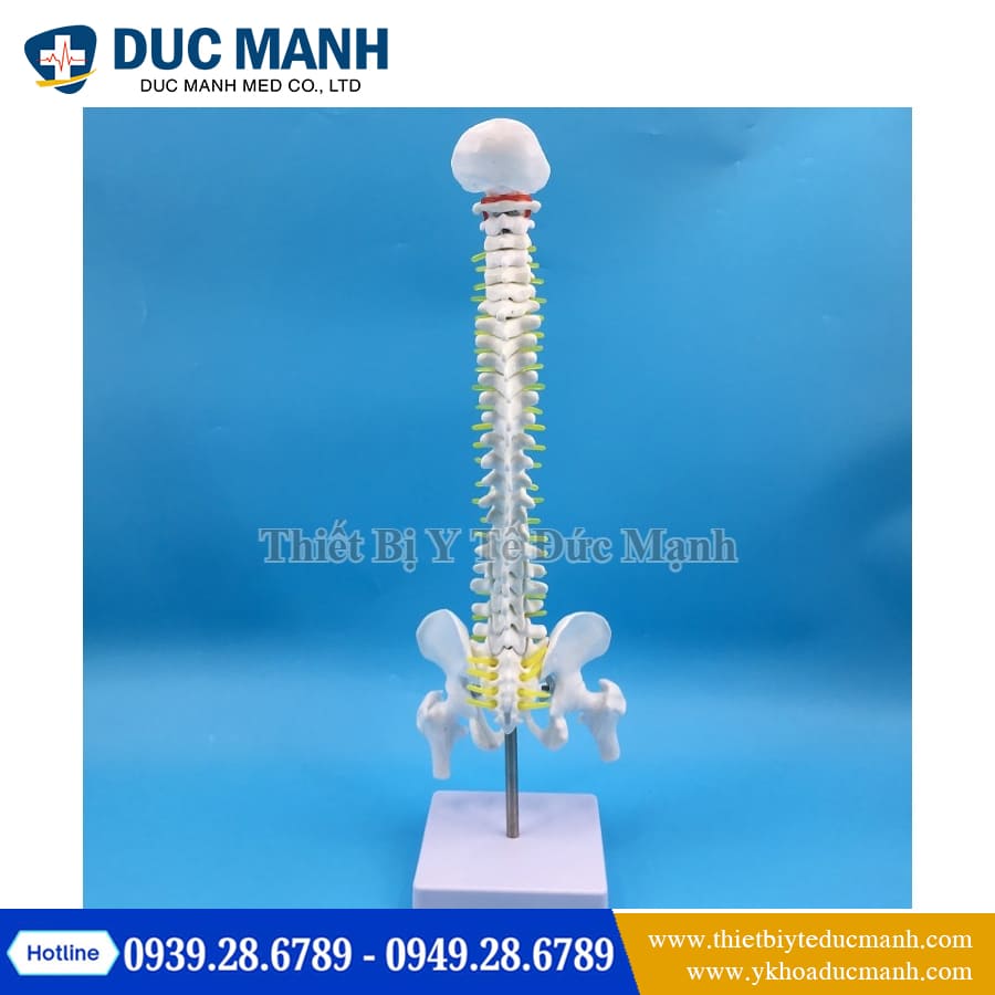 Mo hinh xuong cot song 45cm3