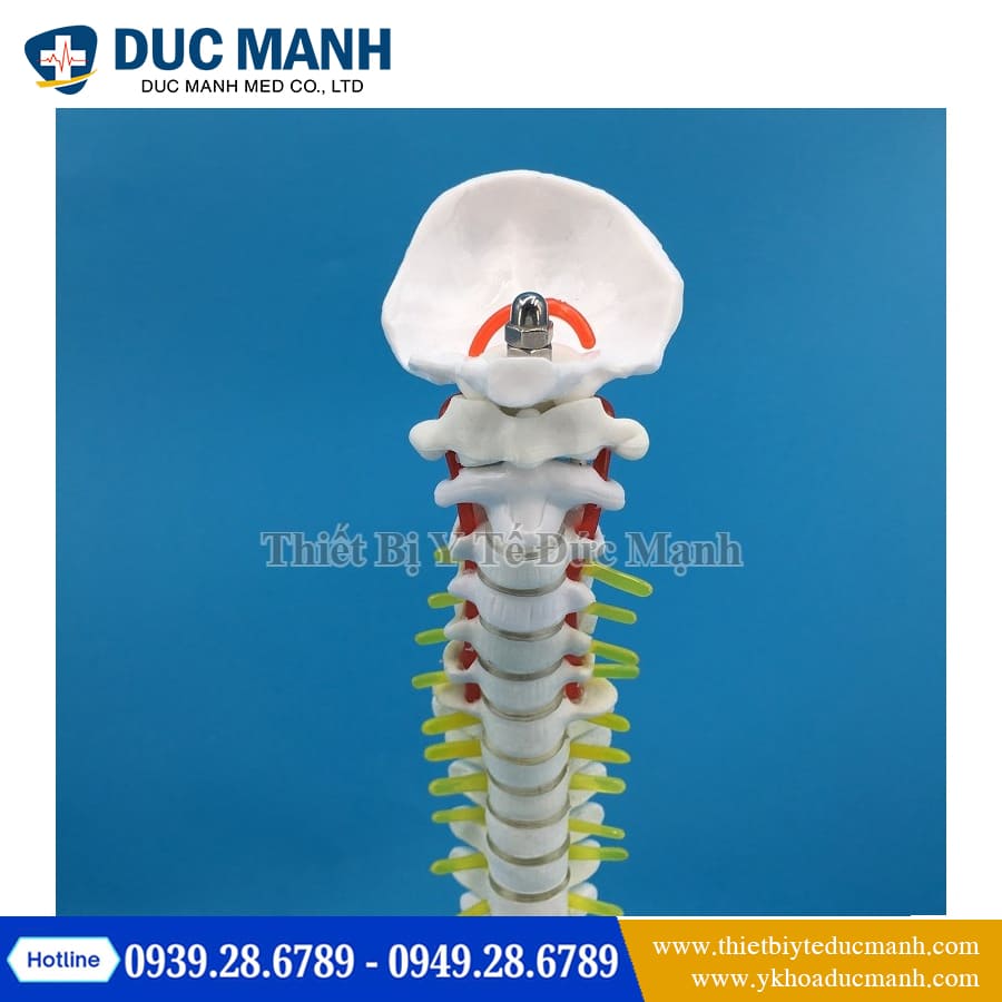 Mo hinh xuong cot song 45cm4