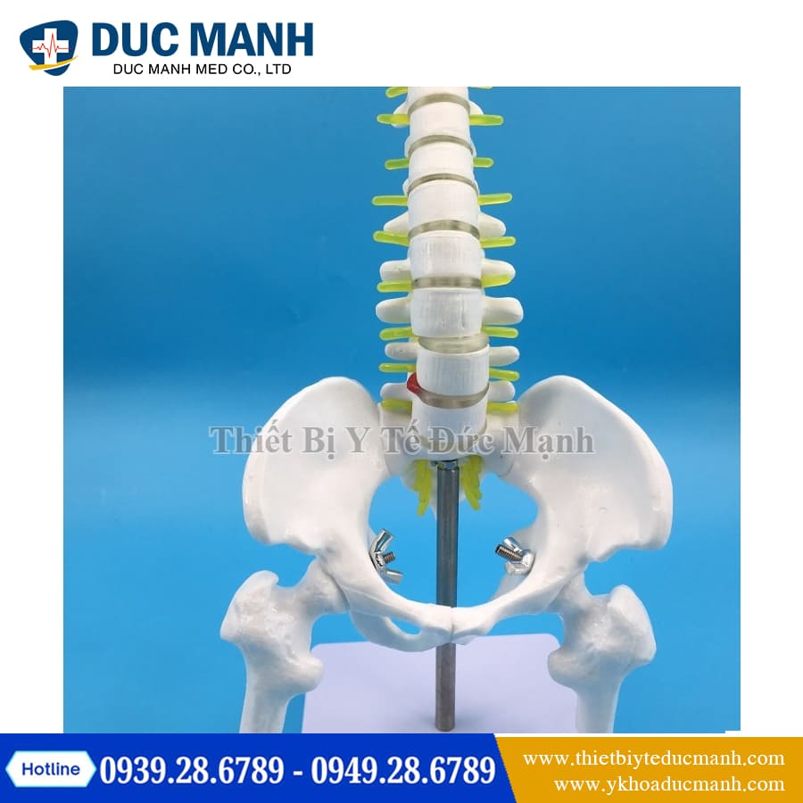 Mo hinh xuong cot song 45cm5