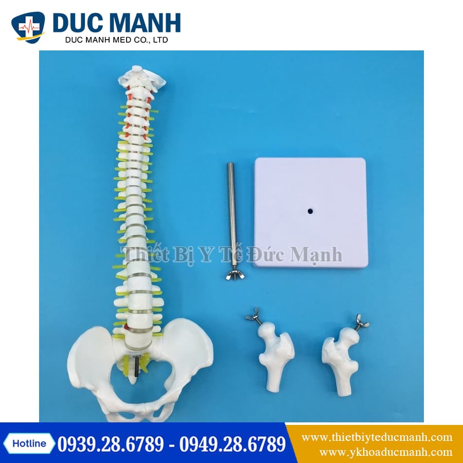 Mo hinh xuong cot song 45cm6