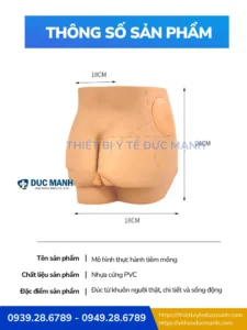 Mô hình tiêm mông - Mô hình thực hành tiêm mông siêu bền bỉ