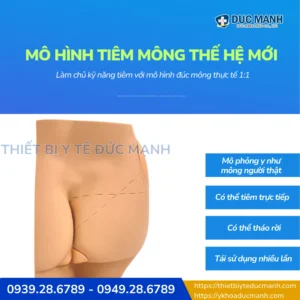 Mô hình tiêm mông - Mô hình thực hành tiêm mông siêu bền bỉ
