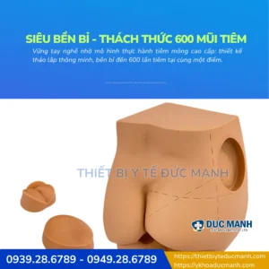 Mô hình tiêm mông - Mô hình thực hành tiêm mông siêu bền bỉ