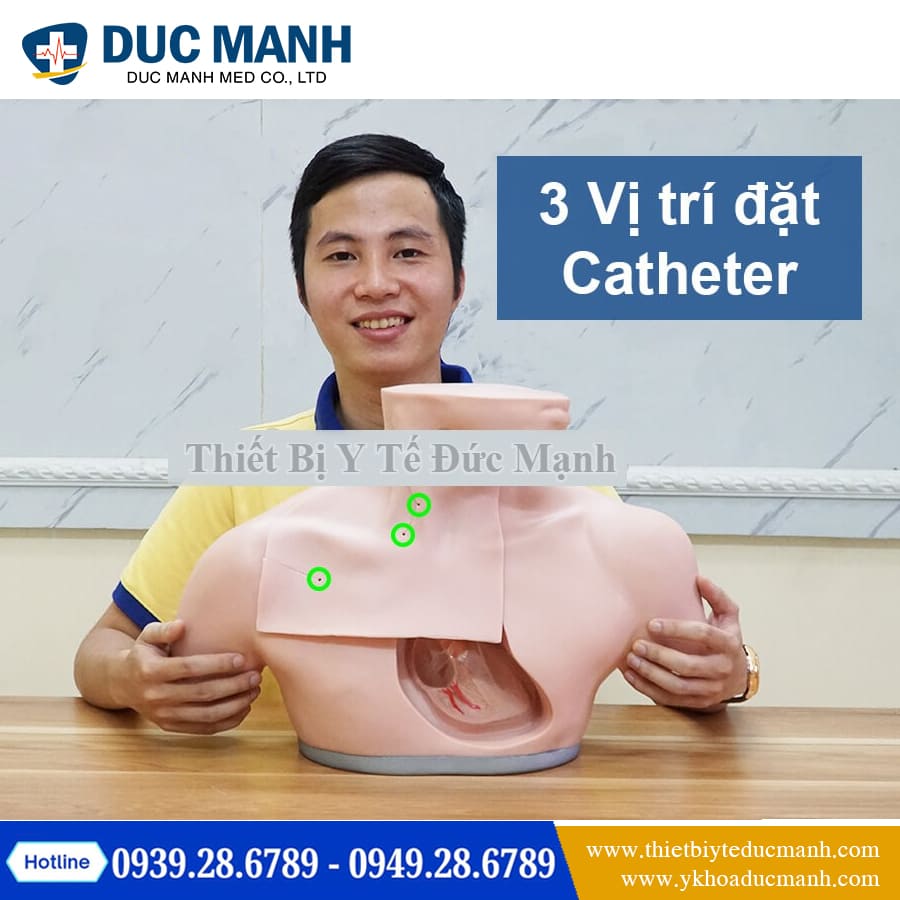 Mo hinh thuc hanh dat Catheter tinh mach4
