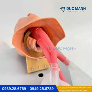 Mô hình thực hành đặt nội khí quản trẻ em