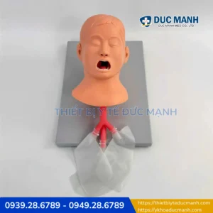 Mô hình thực hành đặt nội khí quản trẻ em