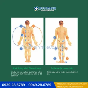 Máy Terahertz THZ003 - Máy thổi huyệt Terahertz thế hệ 4.0