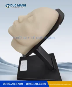 Mô hình thực hành giải phẫu mặt THE FACE 2.0 – Mô hình thực hành tiêm filler, botox 5 Mô hình thực hành giải phẫu mặt THE FACE 2.0 – Mô hình thực hành tiêm filler, botox