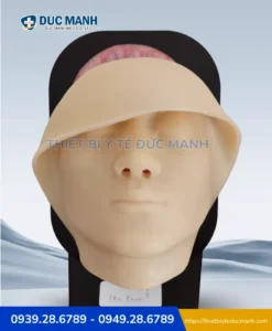 Mô hình thực hành giải phẫu mặt THE FACE 2.0 – Mô hình thực hành tiêm filler, botox 3 Mô hình thực hành giải phẫu mặt THE FACE 2.0 – Mô hình thực hành tiêm filler, botox