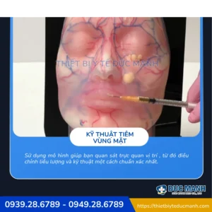 Mô hình thực hành giải phẫu mặt THE FACE 2.0 – Mô hình thực hành tiêm filler, botox 8 Mô hình thực hành giải phẫu mặt THE FACE 2.0 – Mô hình thực hành tiêm filler, botox