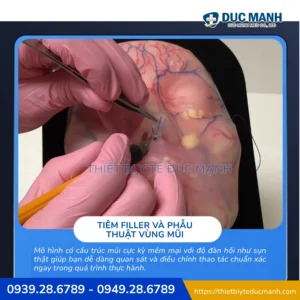 Mô hình thực hành giải phẫu mặt THE FACE 2.0 – Mô hình thực hành tiêm filler, botox 6 Mô hình thực hành giải phẫu mặt THE FACE 2.0 – Mô hình thực hành tiêm filler, botox