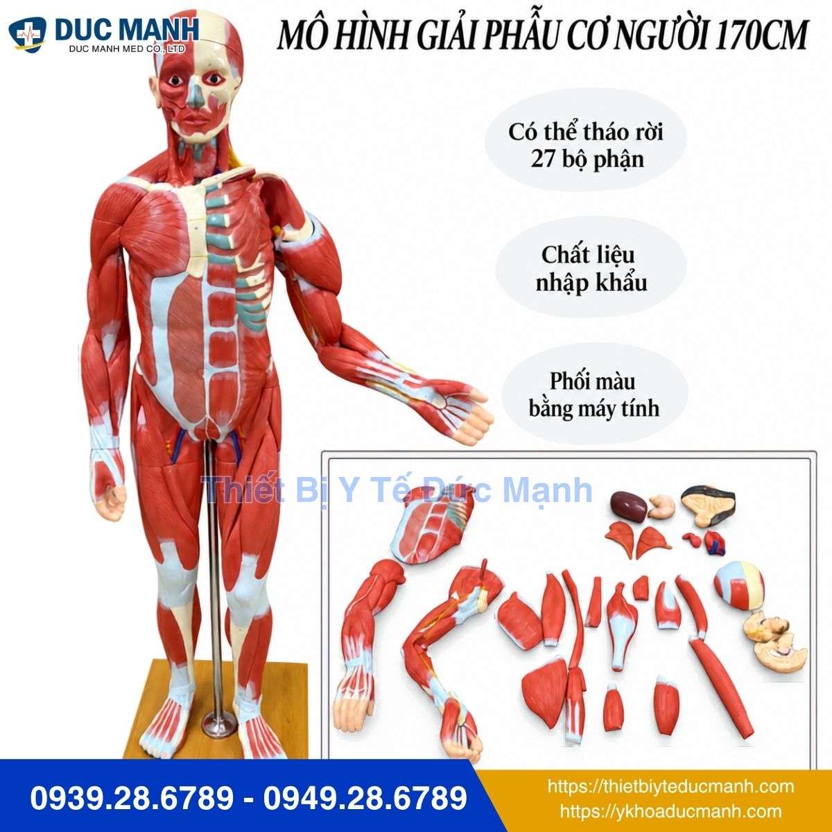 anh web 27 1